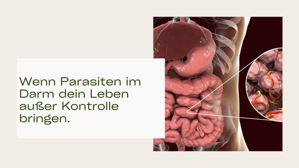 Parasiten im Körper – Wie verborgene Feinde deine Gesundheit und dein Wohlbefinden beeinträchtigen können.