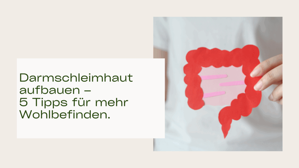 Darmschleimhaut aufbauen – 5 Tipps für mehr Wohlbefinden.