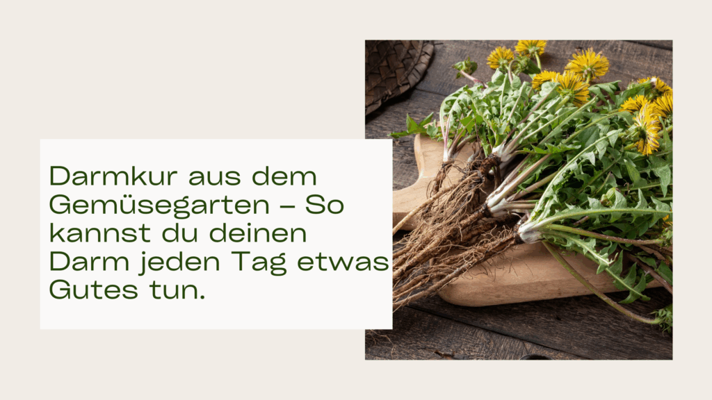 Darmkur aus dem Gemüsegarten – So kannst du deinen Darm jeden Tag etwas Gutes tun.